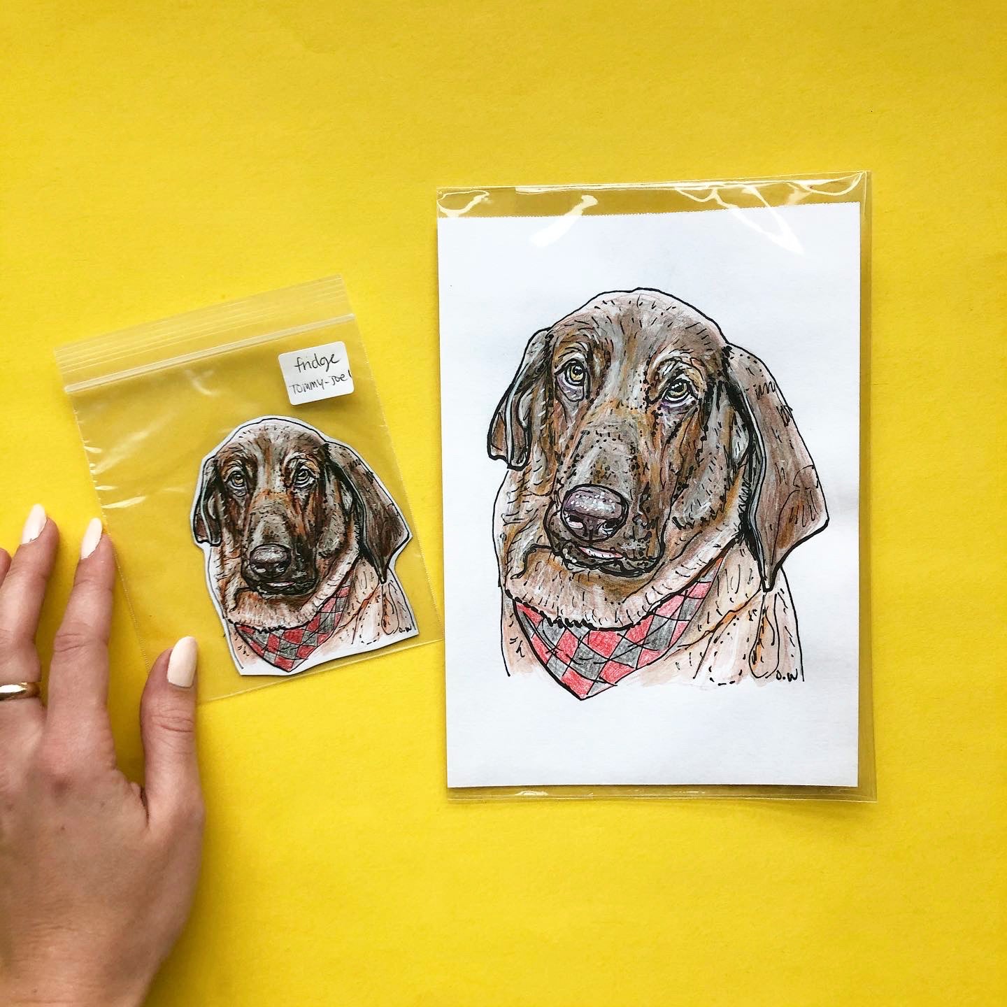 6x8 custom pet portrait + fridge magnet of your portrait !