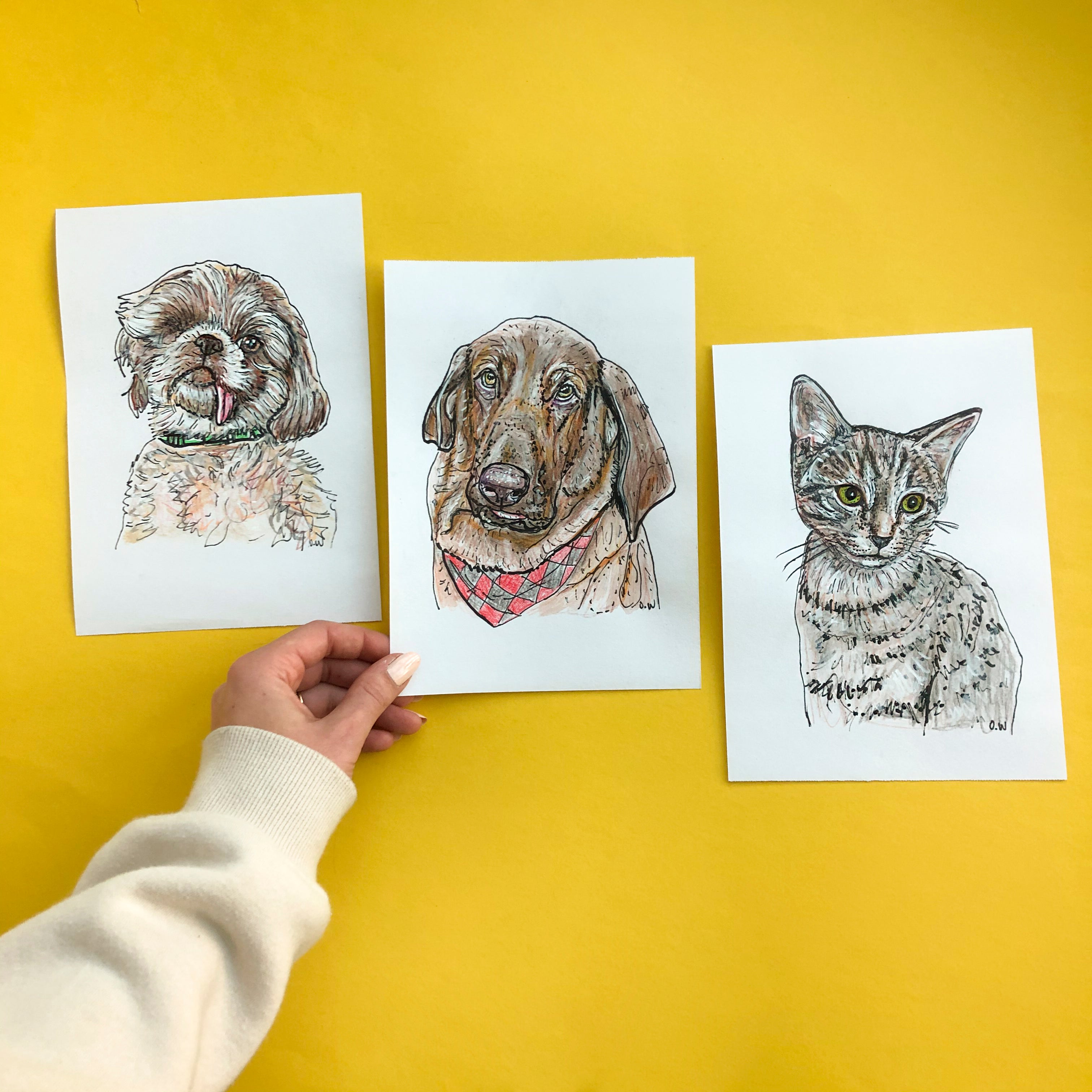 6x8 Custom Pet Portrait of your pet